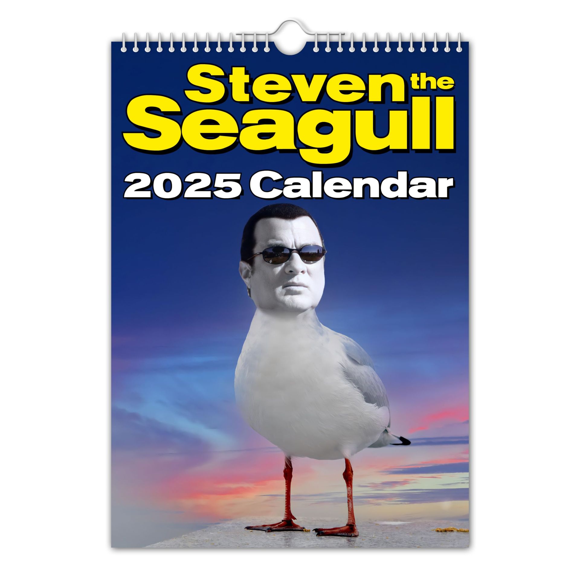The Calendar King // Steven the Seagull - 2025 Wall Calendar (Full Colour, A4 Size)