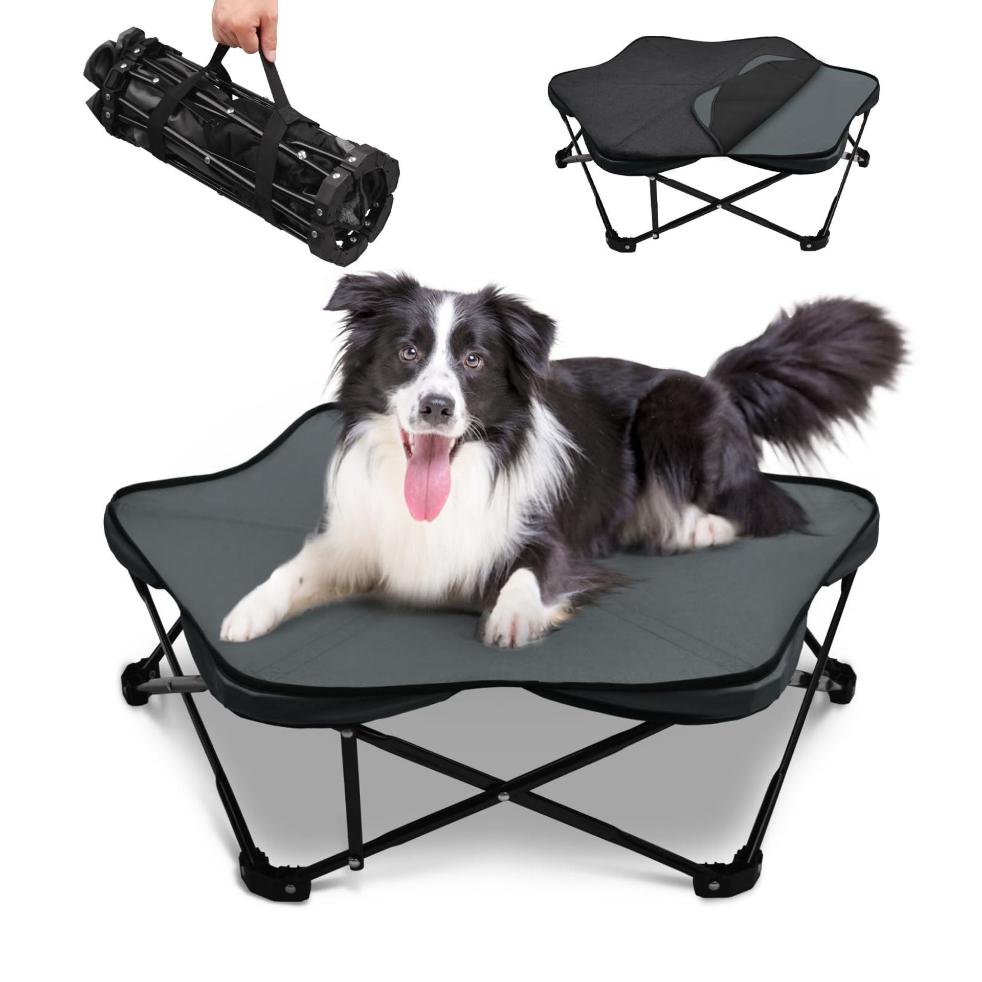 Elevated Dog Bed Foldable Raised Frame with Removable Cushion Waterproof Portable Indoor Outdoor Use - Black Medium