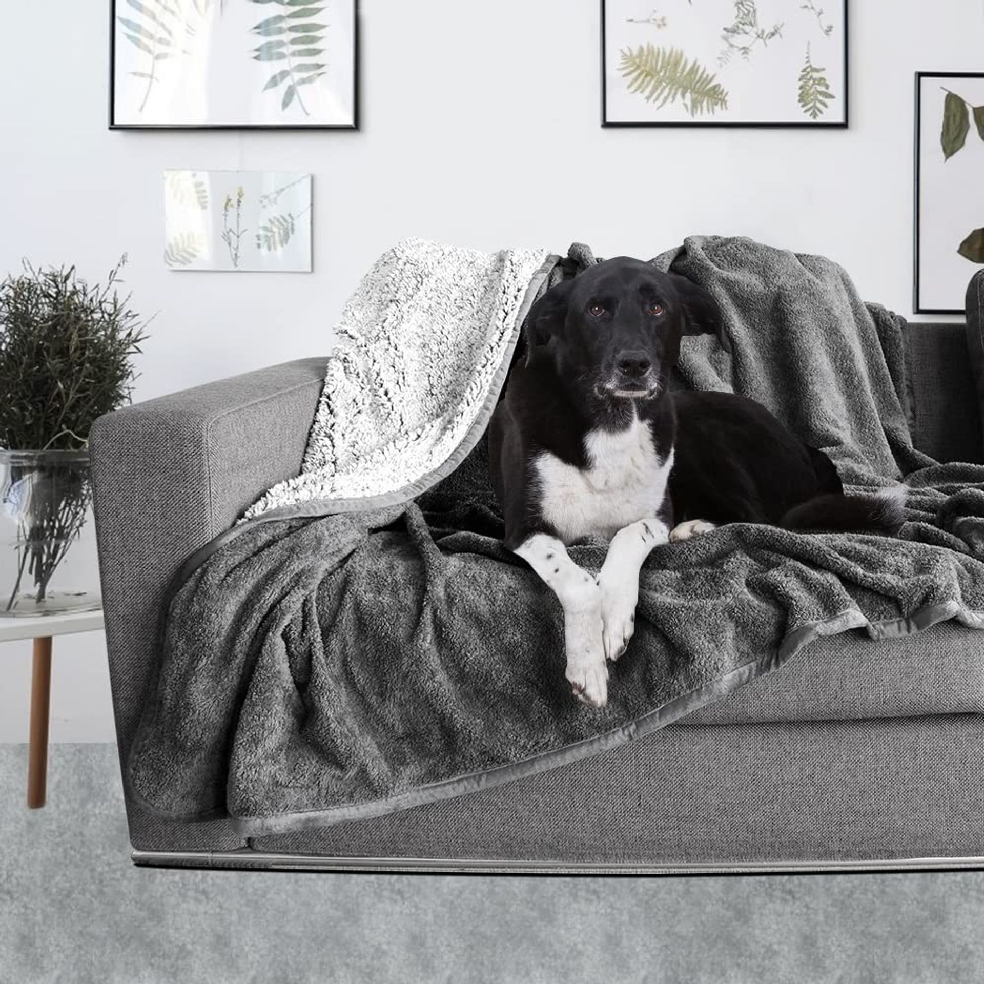PLUTUS PET Waterproof Pet Blanket, Cozy Soft Washable Cat Blanket, Dog Blanket for Couch Bed Sofa, Warm Blanket for Puppy Small Medium Large Dogs(60x80cm, Brown)