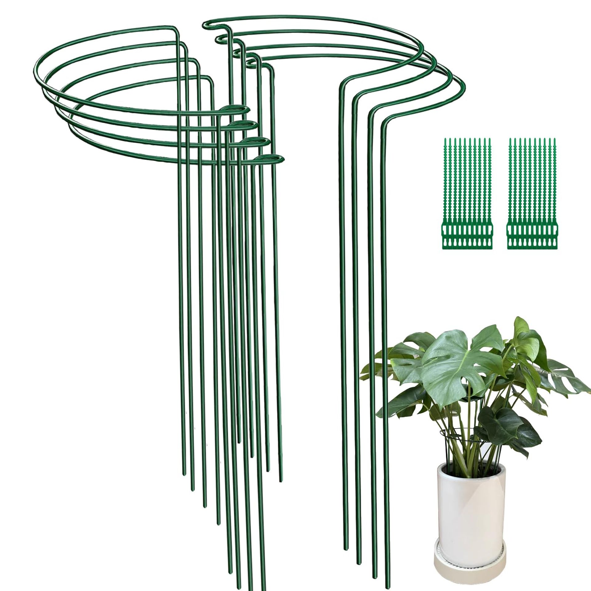 8 Pack 25x60cm Garden Plant Support Stakes with 20 Plant Ties - Durable Metal Half Round Rings for Flowers & Vegetables