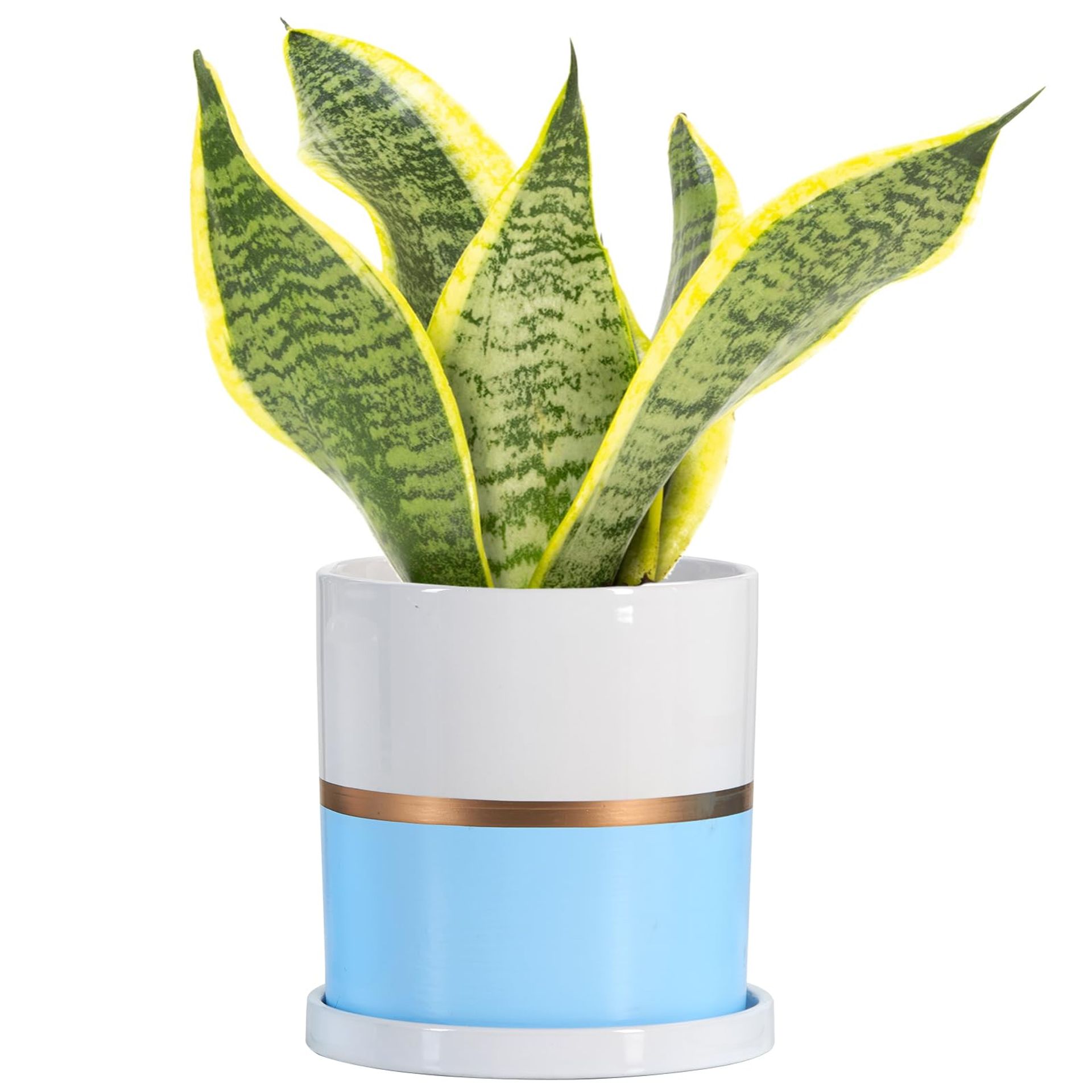 Ceramic Plant Pot with Drainage Hole and Saucer for Indoor or Outdoor Plants - Blue 13cm